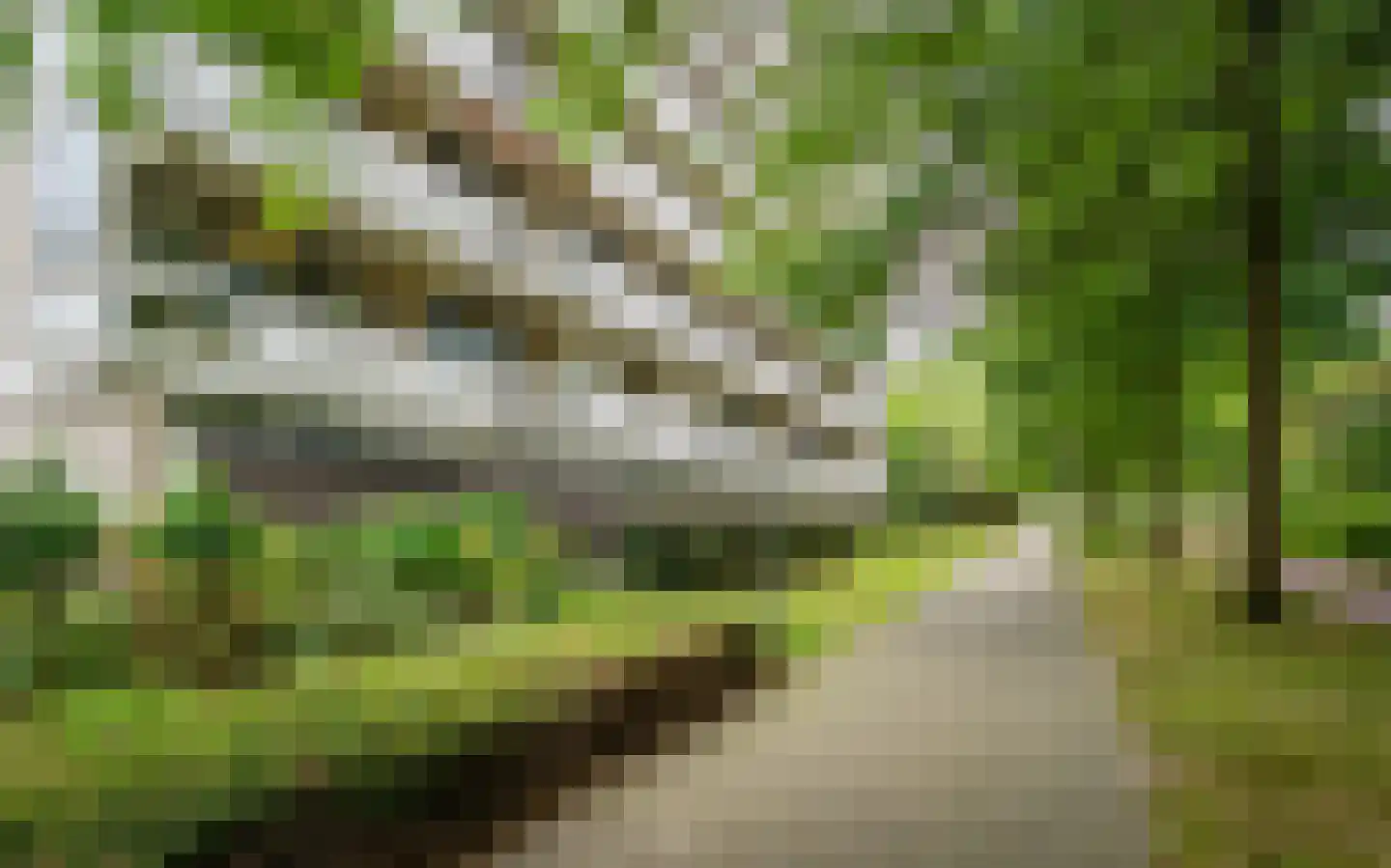de Koppele 155 Eindhoven thumbnail 46