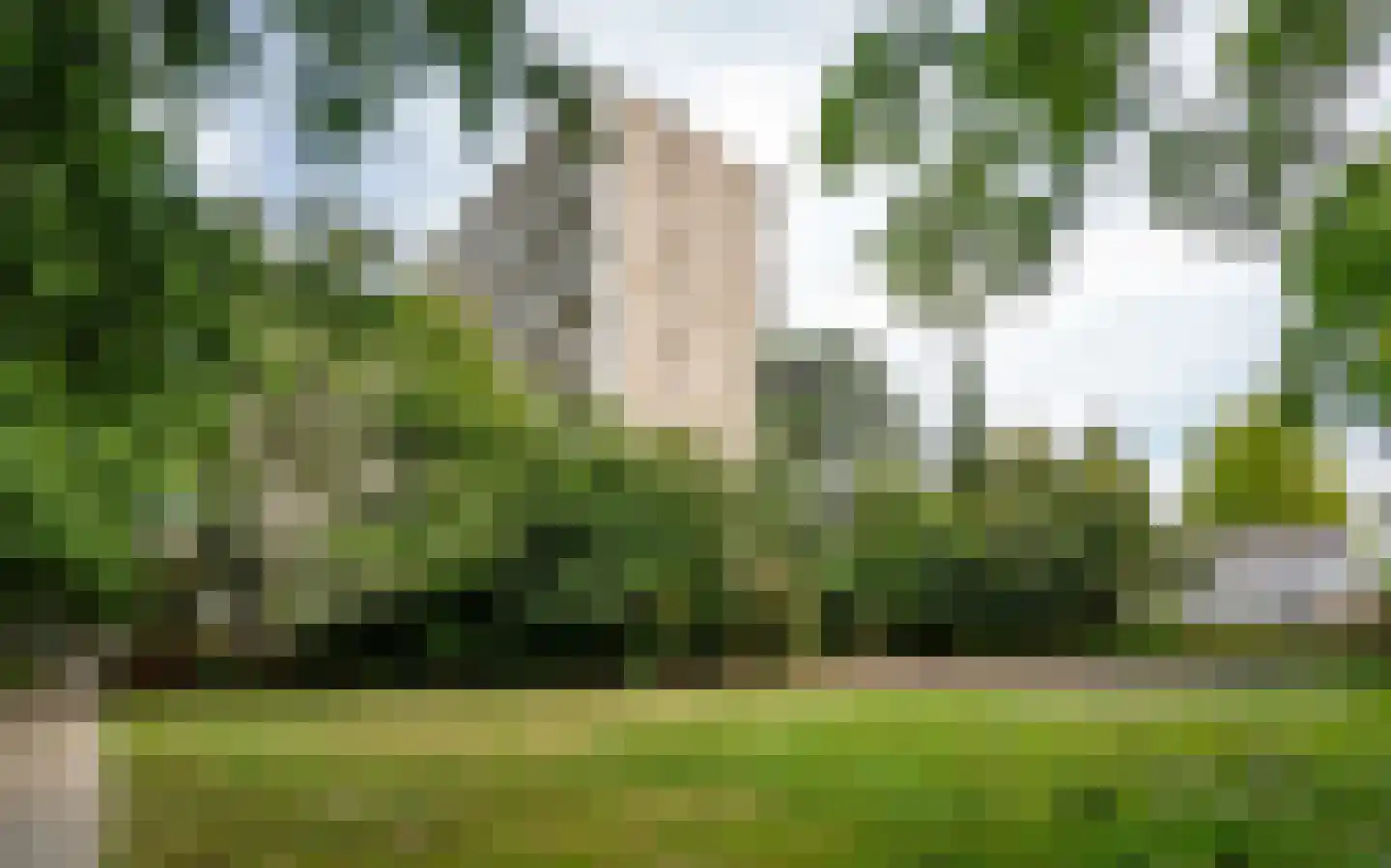 de Koppele 155 Eindhoven thumbnail 47