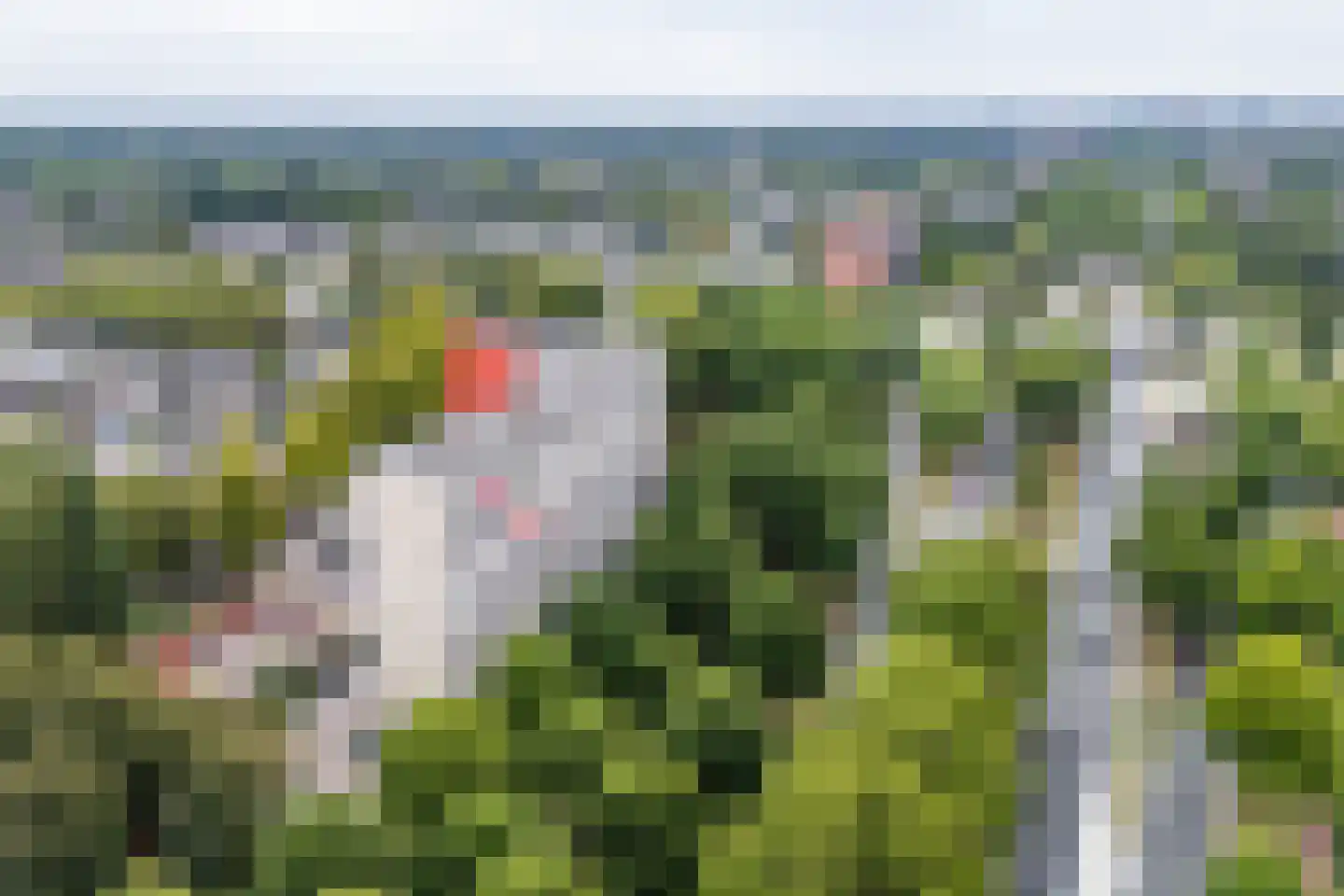 de Koppele 155 Eindhoven thumbnail 48