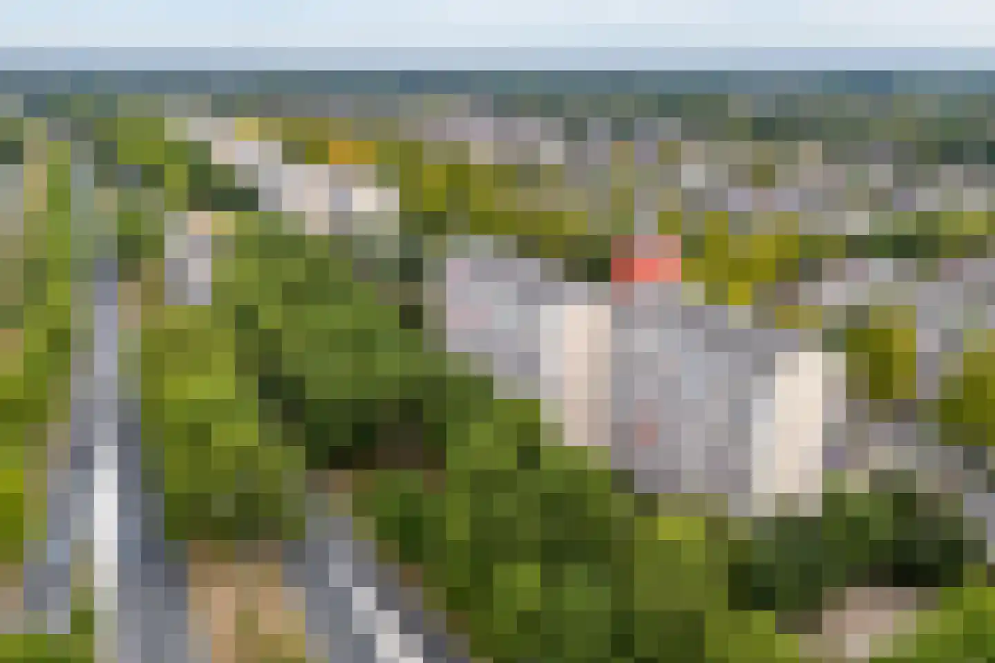 de Koppele 155 Eindhoven thumbnail 49