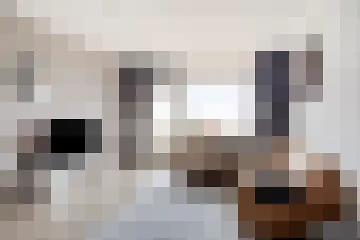de Koppele 169 Eindhoven thumbnail 13