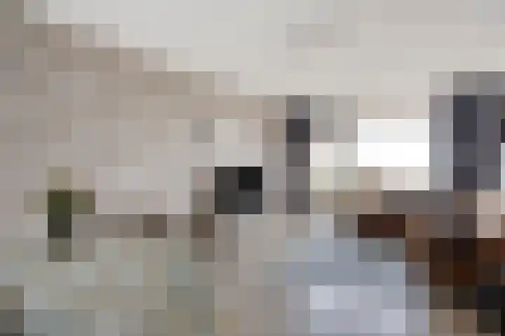 de Koppele 169 Eindhoven thumbnail 17