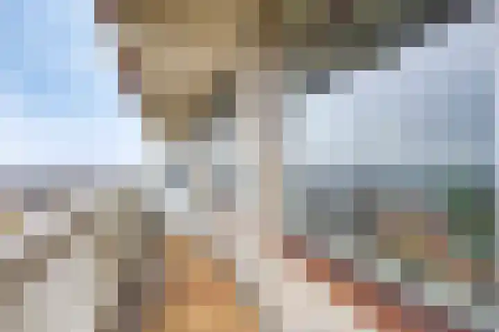 de Koppele 169 Eindhoven thumbnail 18