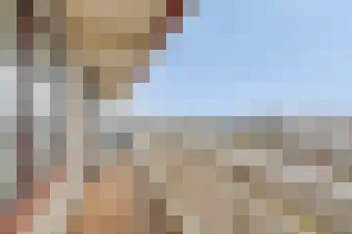 de Koppele 169 Eindhoven thumbnail 19