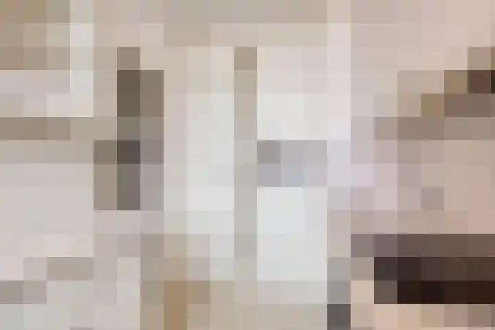 de Koppele 169 Eindhoven thumbnail 22