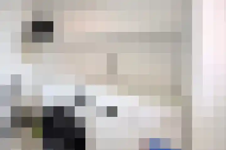 de Koppele 169 Eindhoven thumbnail 23