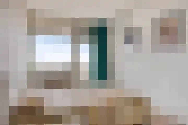 de Koppele 169 Eindhoven thumbnail 24