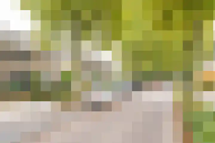 de Koppele 18 Eindhoven thumbnail 35