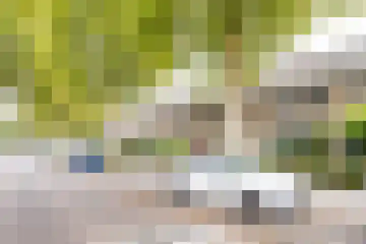 de Koppele 18 Eindhoven thumbnail 36