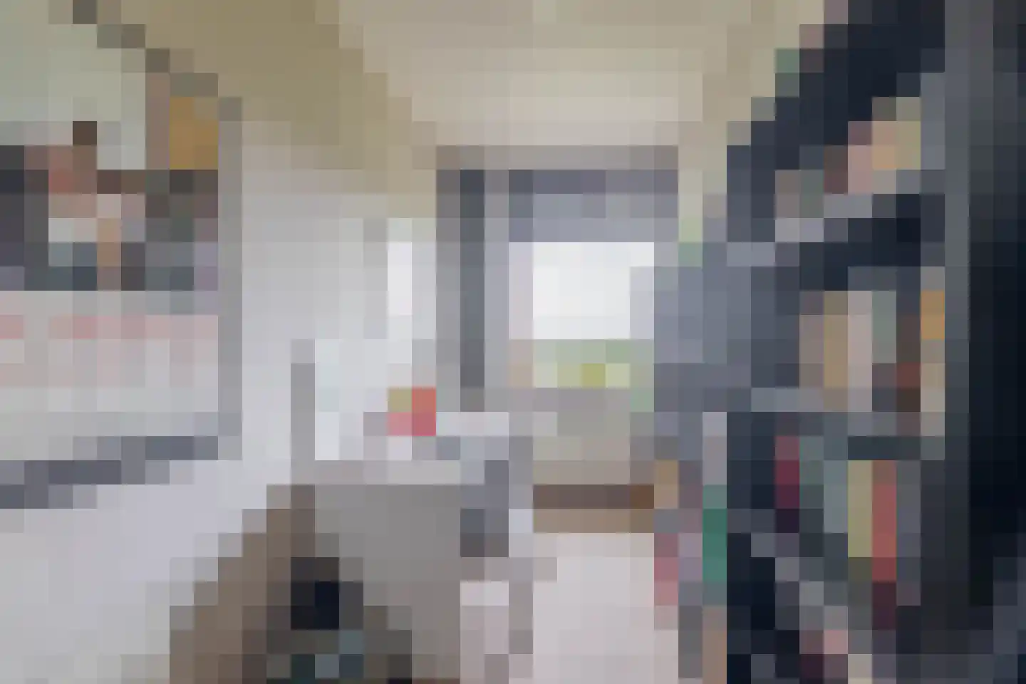 de Koppele 191 Eindhoven thumbnail 19