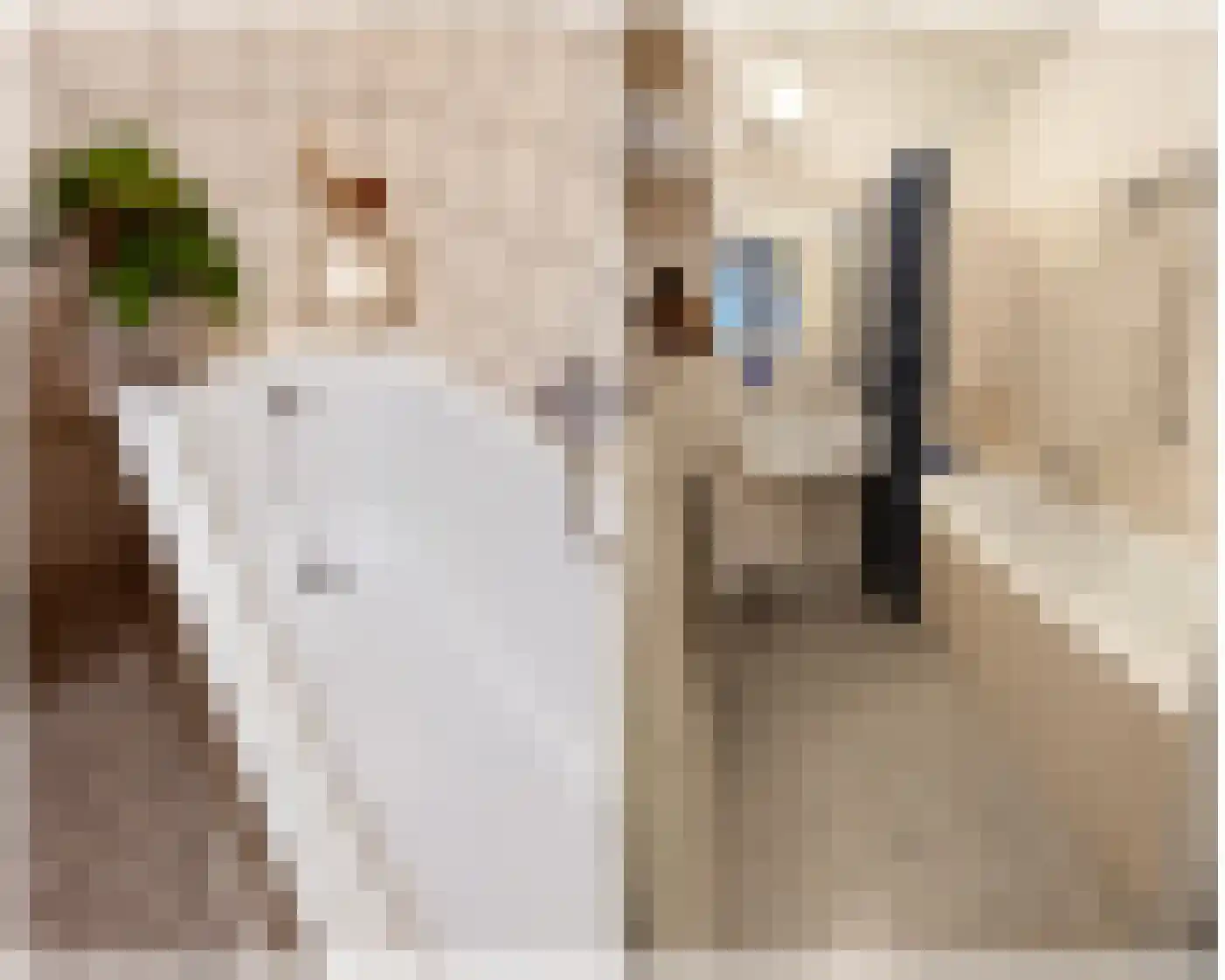 de Koppele 191 Eindhoven thumbnail 22