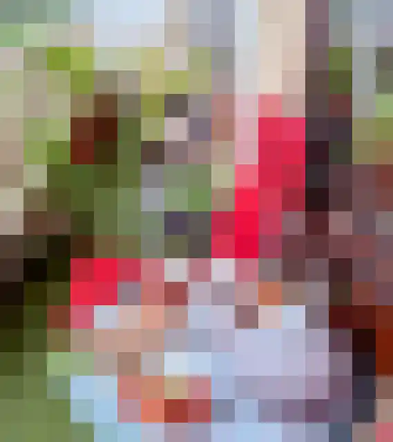 de Koppele 191 Eindhoven thumbnail 25