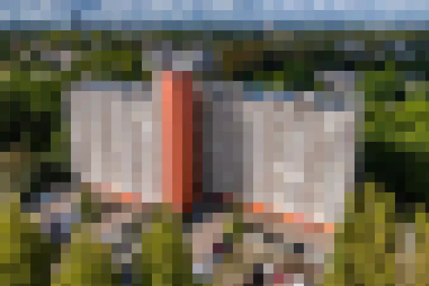 de Koppele 191 Eindhoven thumbnail 34