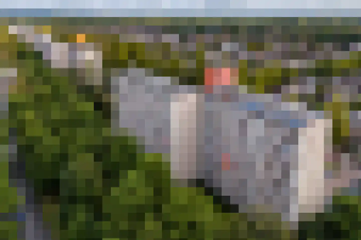 de Koppele 191 Eindhoven thumbnail 35