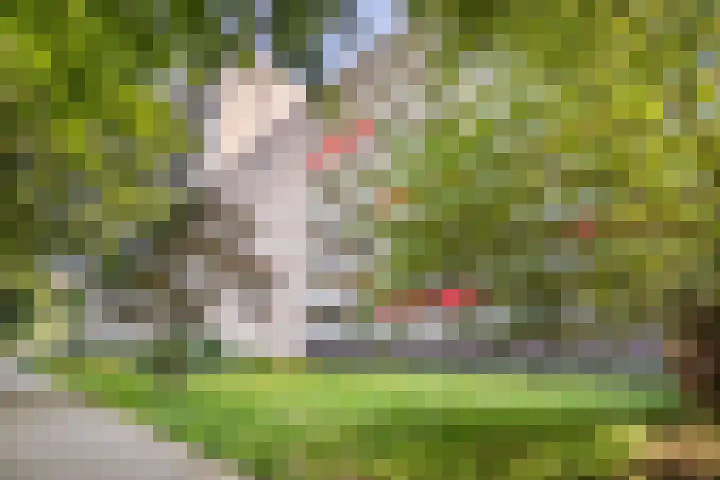 de Koppele 191 Eindhoven thumbnail 36