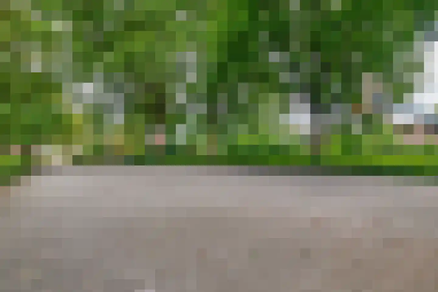 de Koppele 191 Eindhoven thumbnail 39