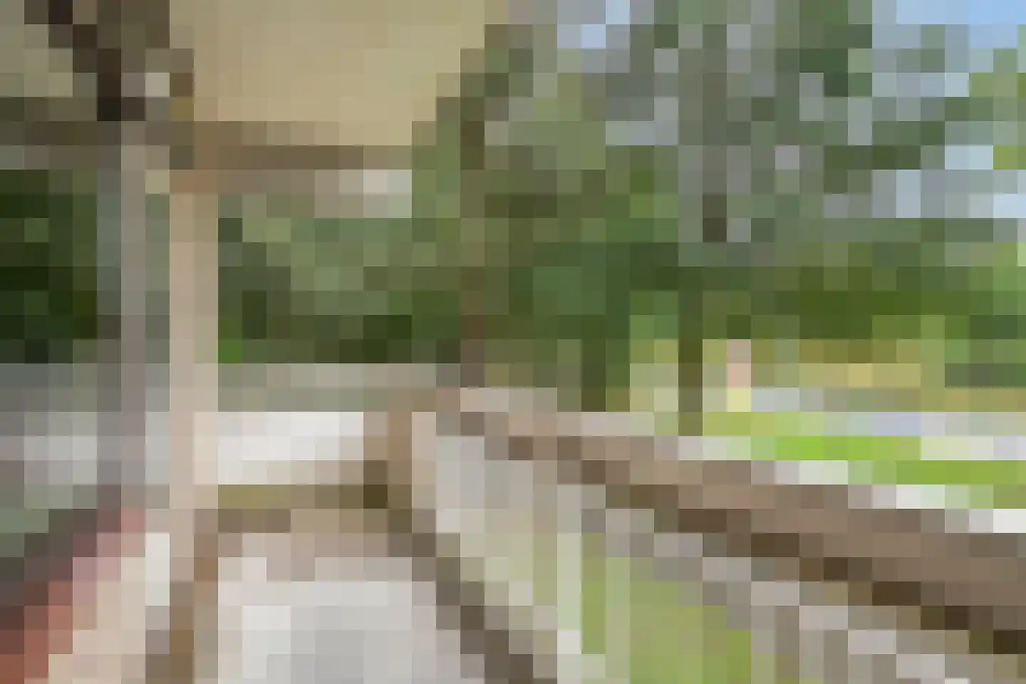 de Koppele 215 Eindhoven thumbnail 24