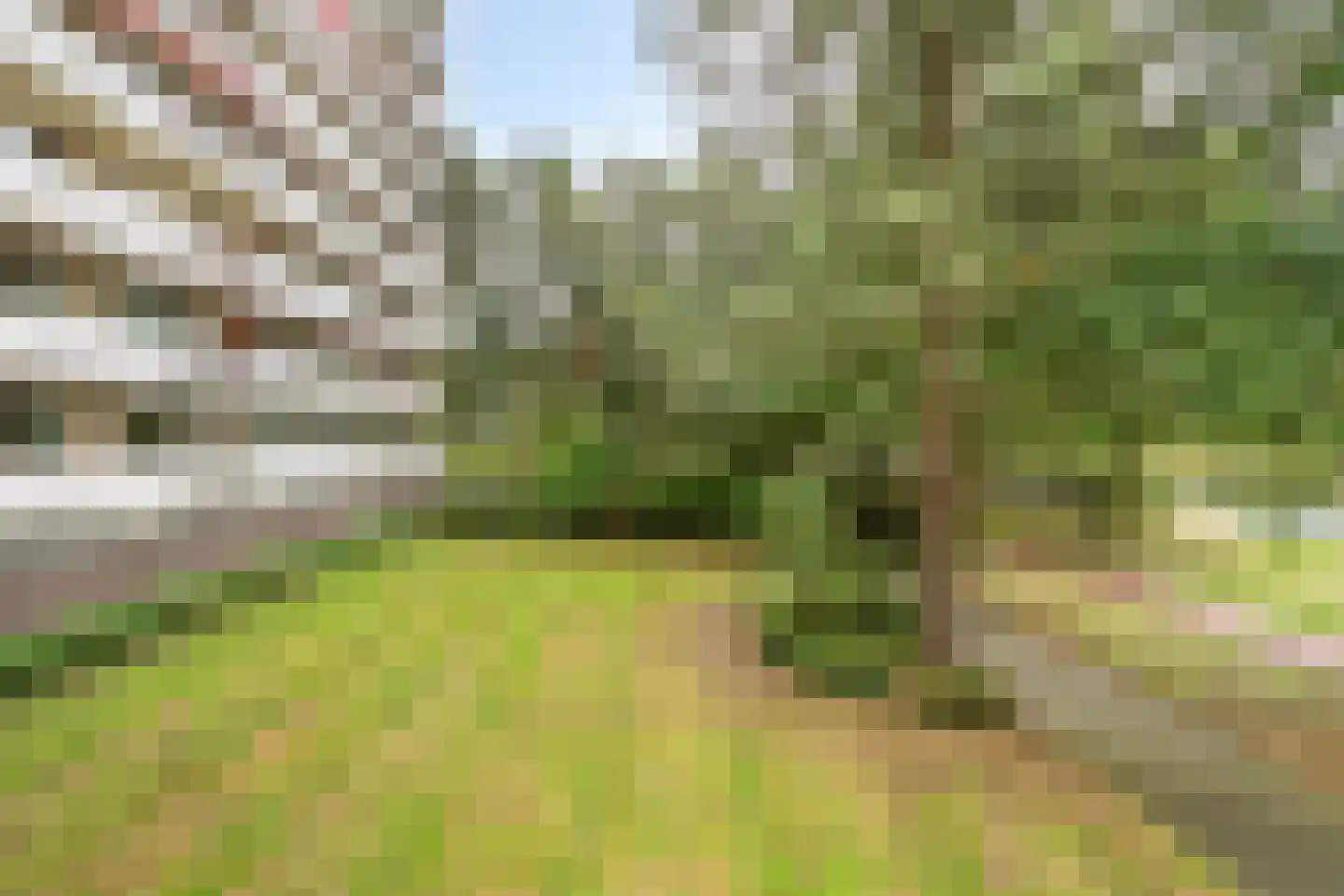 de Koppele 215 Eindhoven thumbnail 25