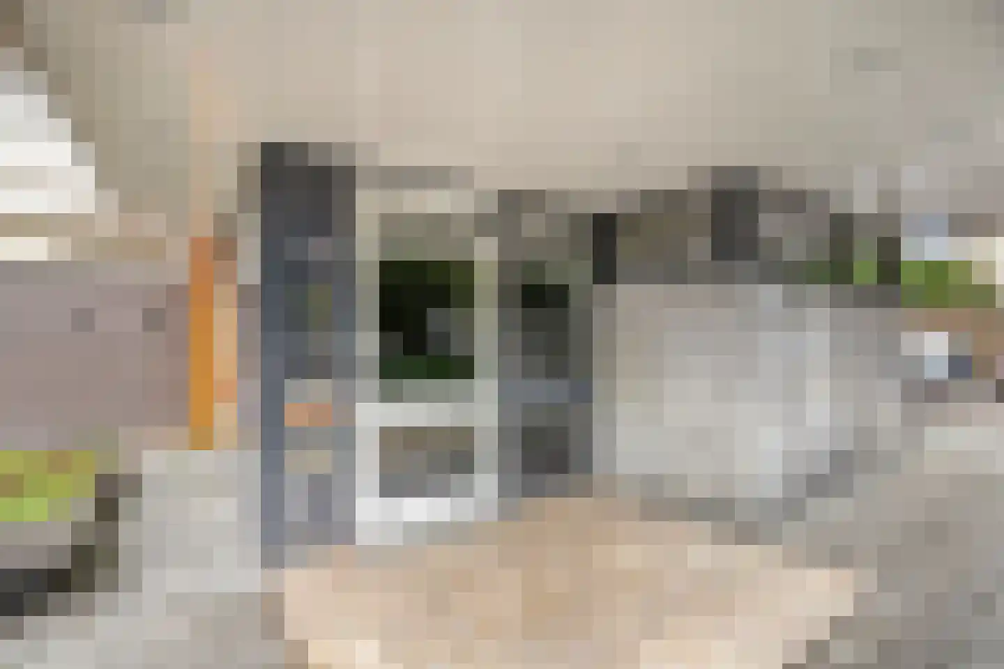 de Koppele 215 Eindhoven thumbnail 6