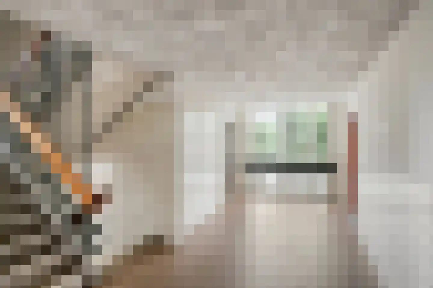 de Koppele 215 Eindhoven thumbnail 9