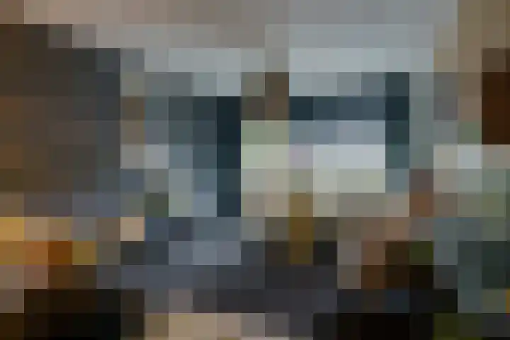 de Koppele 223 Eindhoven thumbnail 21