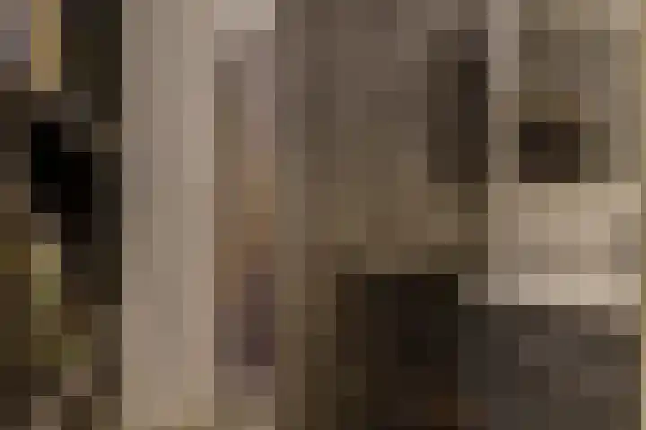 de Koppele 223 Eindhoven thumbnail 30