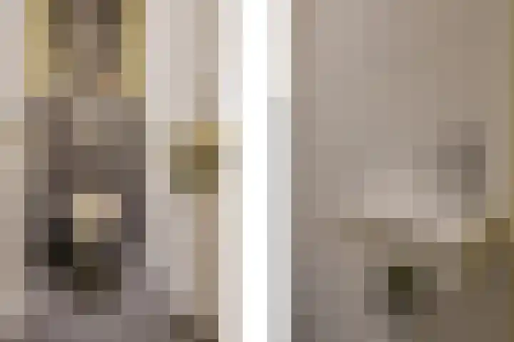 de Koppele 223 Eindhoven thumbnail 32
