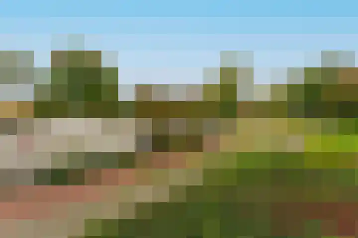 de Koppele 223 Eindhoven thumbnail 35