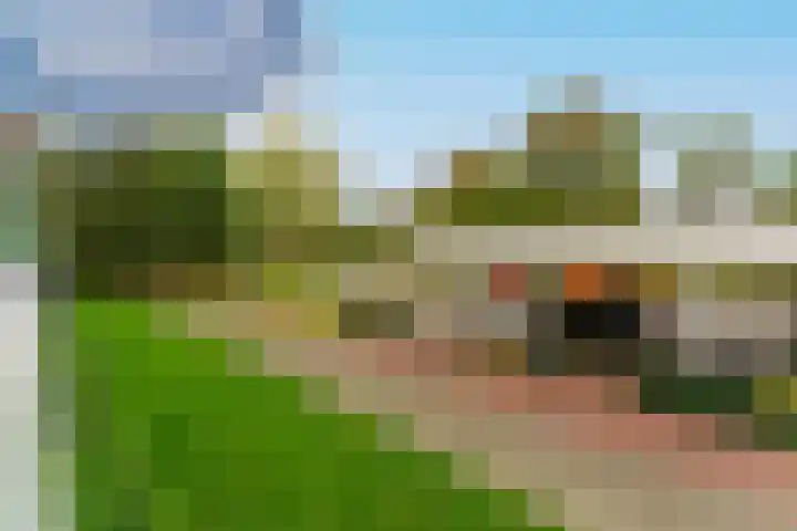de Koppele 223 Eindhoven thumbnail 36