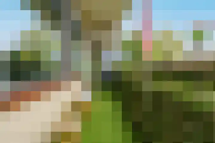 de Koppele 223 Eindhoven thumbnail 4
