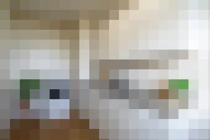 de Koppele 245 Eindhoven thumbnail 21
