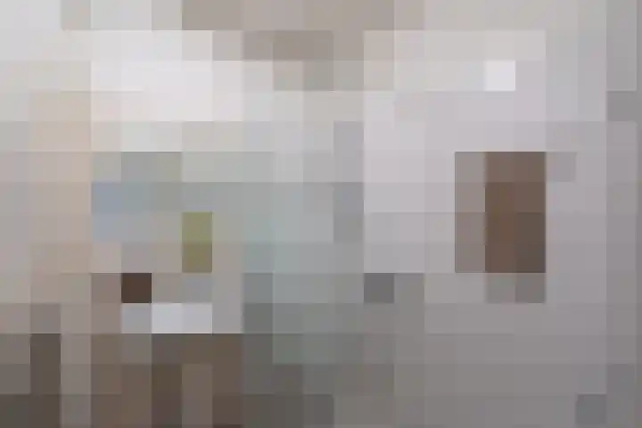de Koppele 245 Eindhoven thumbnail 23