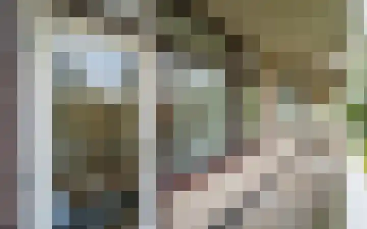 de Koppele 245 Eindhoven thumbnail 29