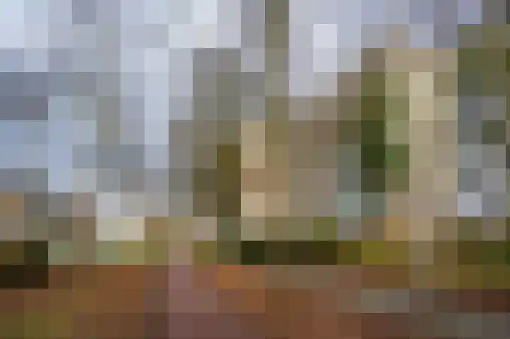 de Koppele 245 Eindhoven thumbnail 34