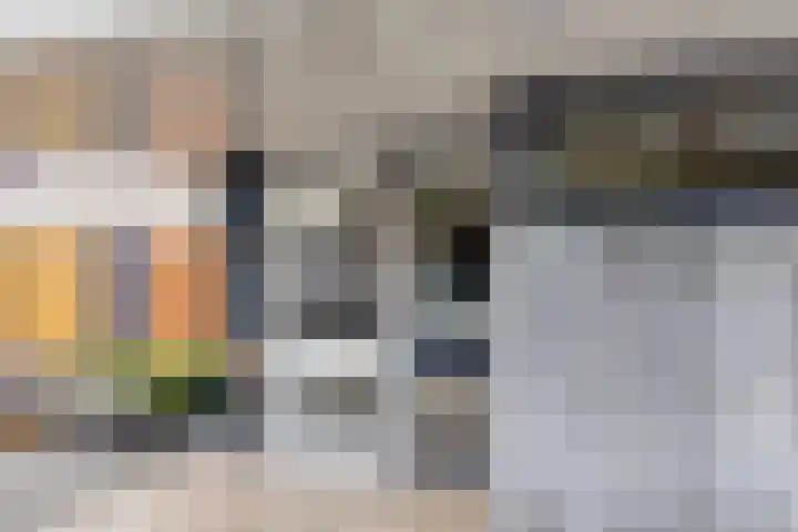de Koppele 253 Eindhoven thumbnail 10