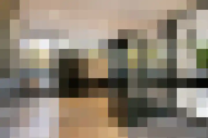 de Koppele 253 Eindhoven thumbnail 13