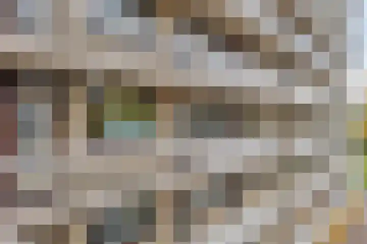de Koppele 253 Eindhoven thumbnail 14
