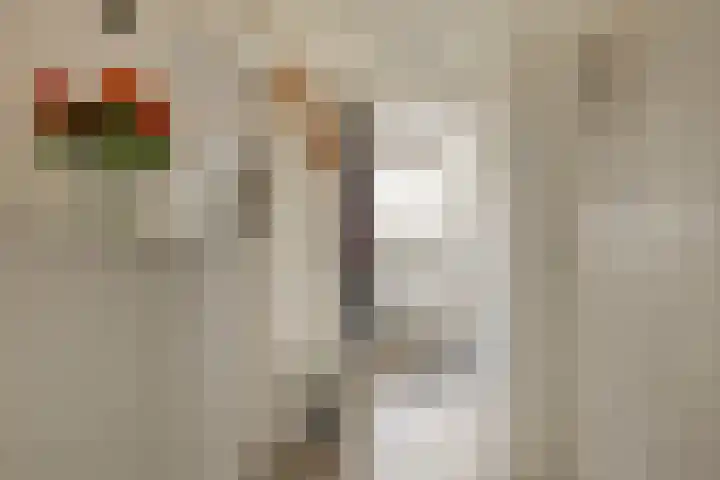 de Koppele 253 Eindhoven thumbnail 15