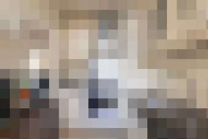 de Koppele 253 Eindhoven thumbnail 18