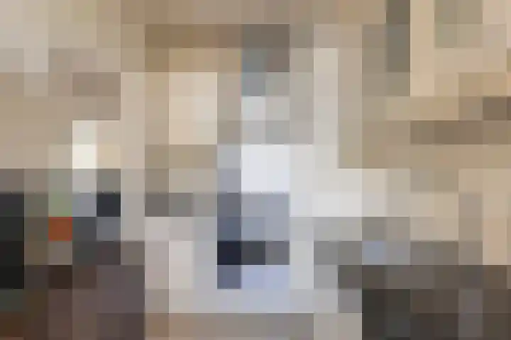 de Koppele 253 Eindhoven foto 2