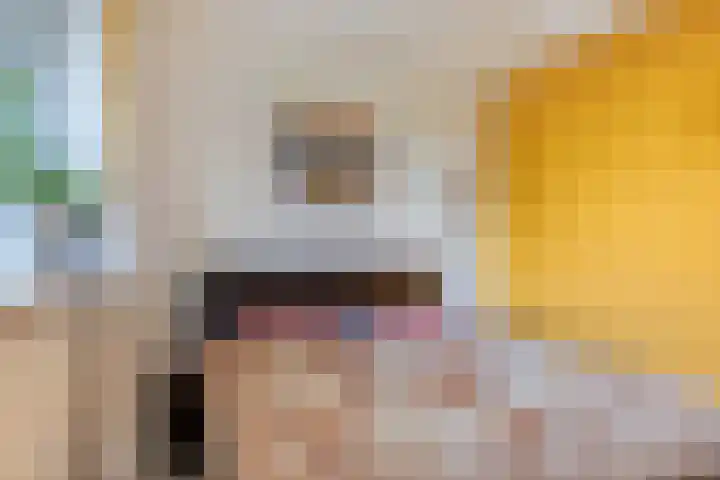 de Koppele 253 Eindhoven thumbnail 21