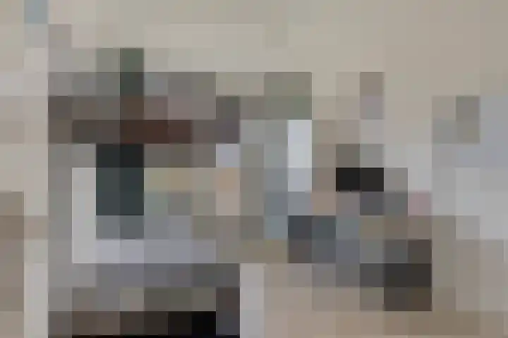 de Koppele 253 Eindhoven thumbnail 22