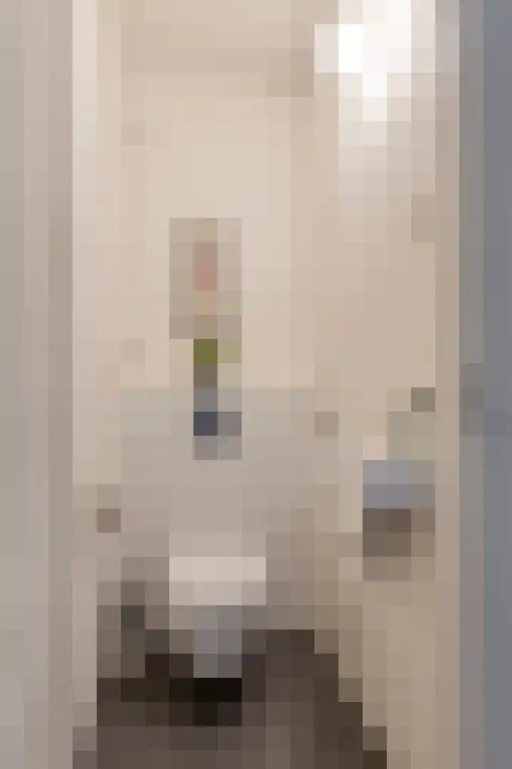 de Koppele 253 Eindhoven thumbnail 27