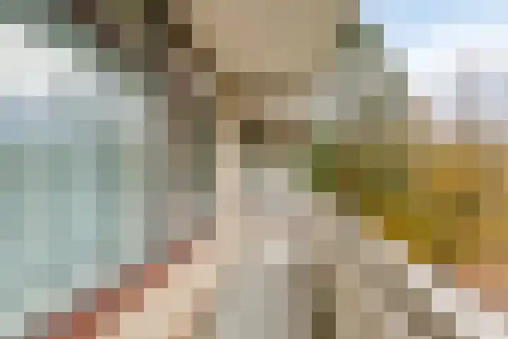 de Koppele 253 Eindhoven thumbnail 32