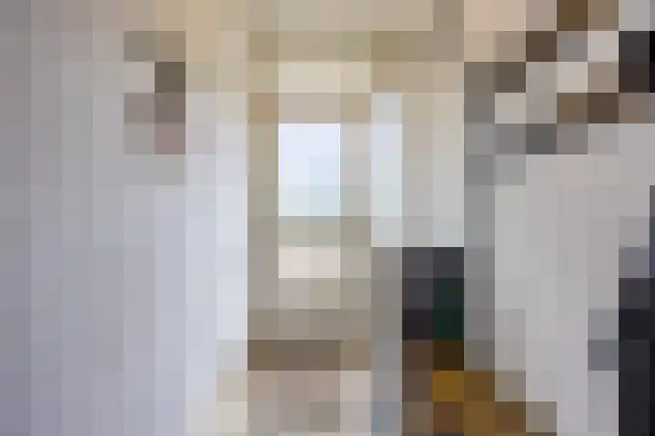 de Koppele 257 Eindhoven thumbnail 12