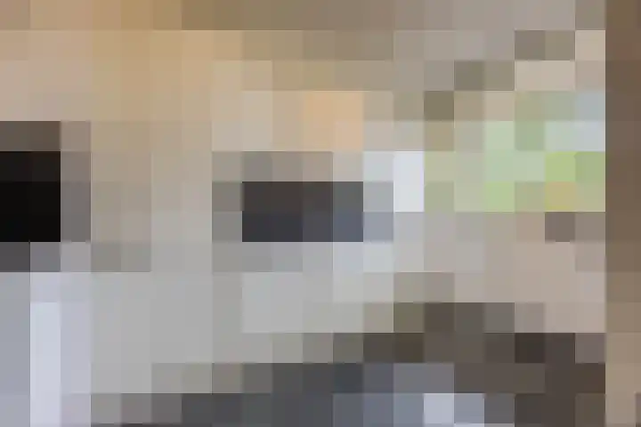 de Koppele 257 Eindhoven thumbnail 20