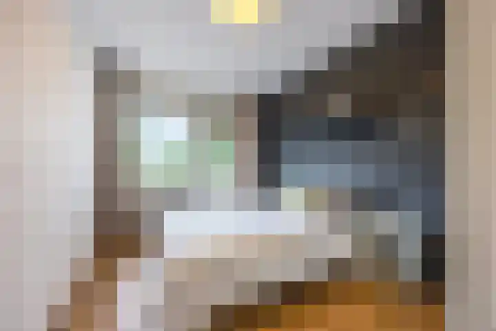 de Koppele 257 Eindhoven thumbnail 26