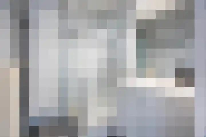 de Koppele 257 Eindhoven thumbnail 30