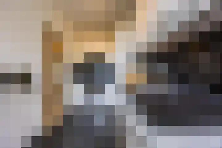 de Koppele 257 Eindhoven thumbnail 4