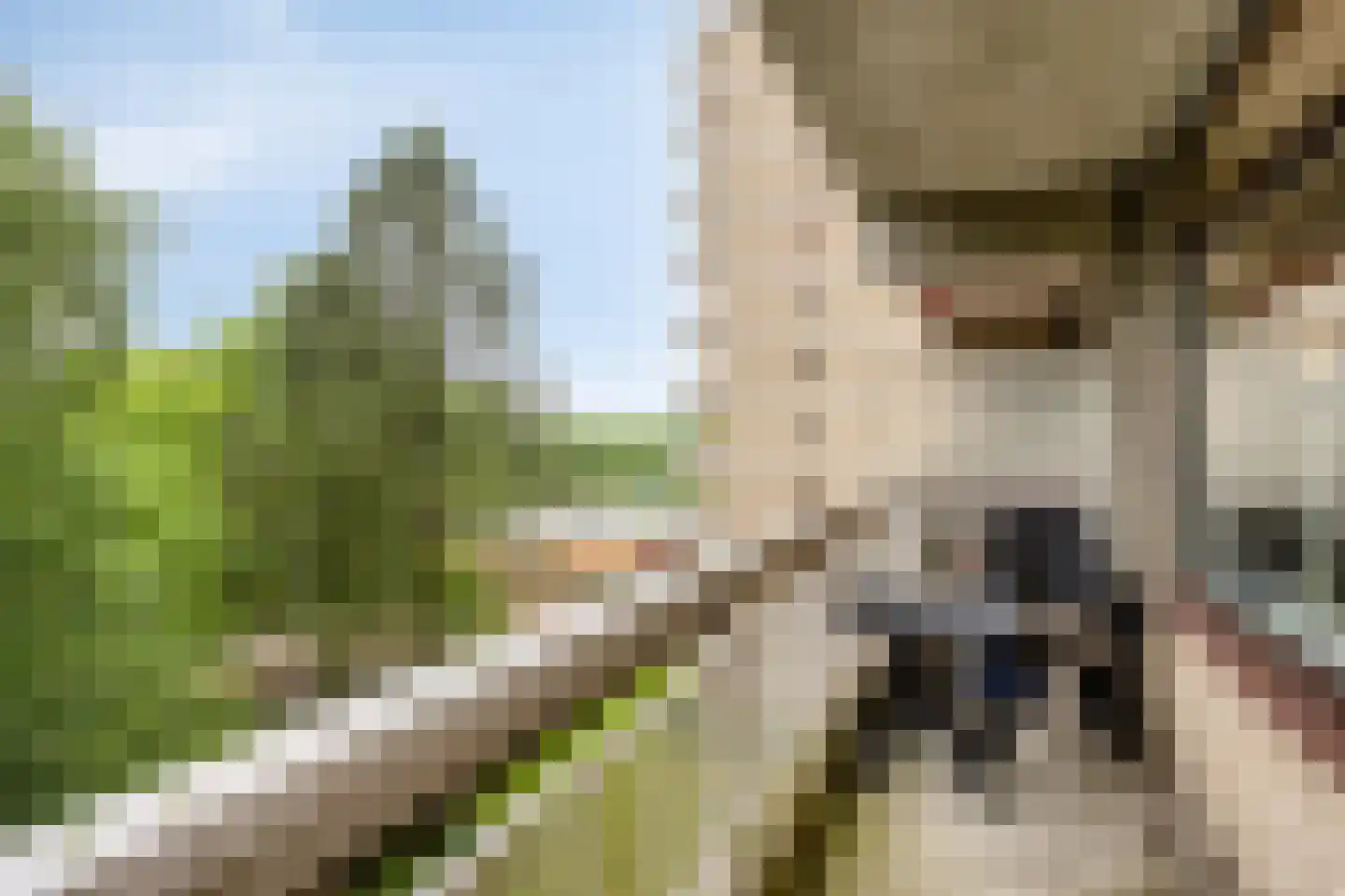 de Koppele 261 Eindhoven thumbnail 28